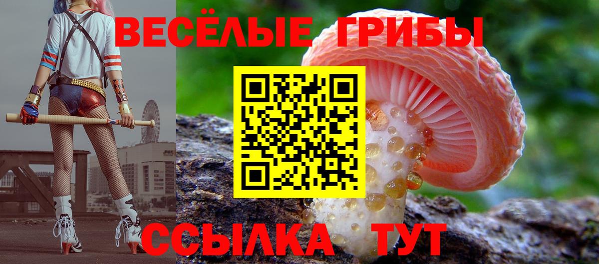 Псилоцибиновые грибы мицелий  Вход с VPN  Тула 