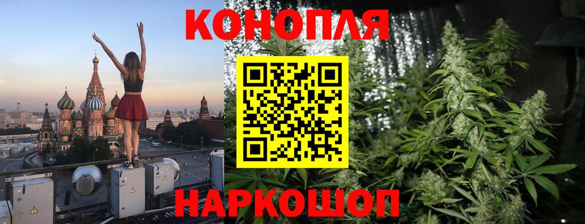 Бошки марихуана OG Kush Тула